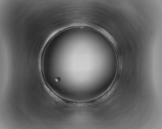 X0000114540958200910191339