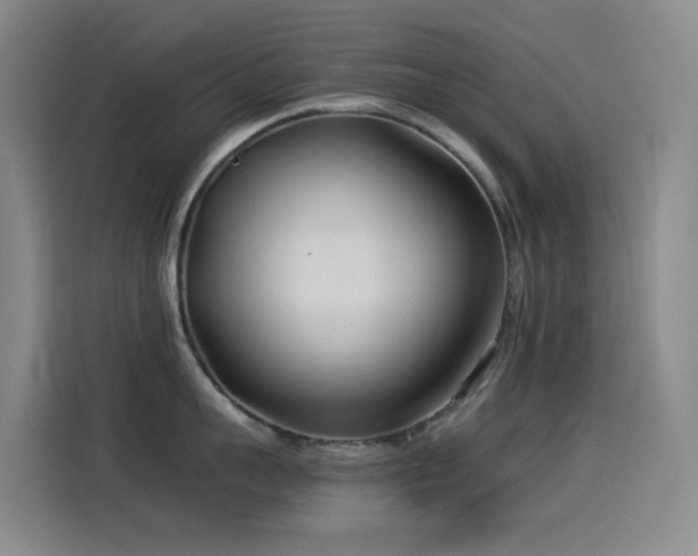 X0000114540959200910191339