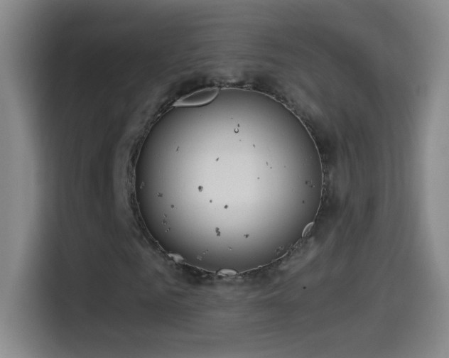 X0000114540961200910191338