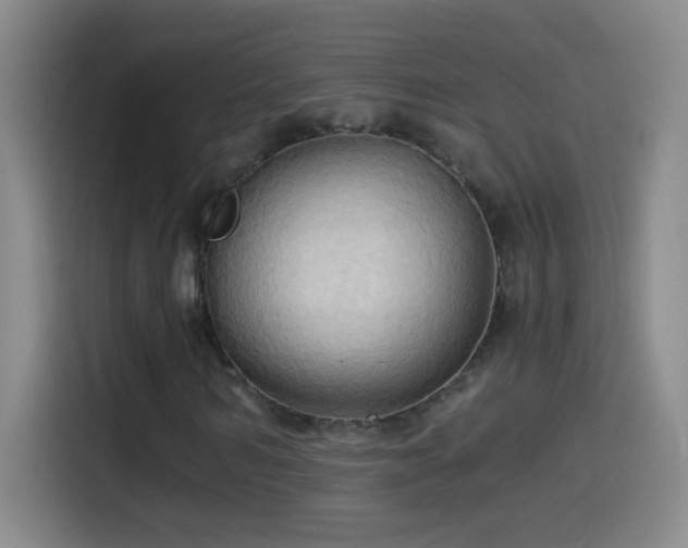 X0000114540962200910191338