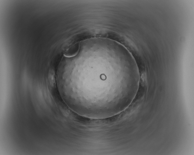 X0000114540963200910191338