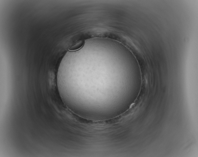 X0000114540964200910191338