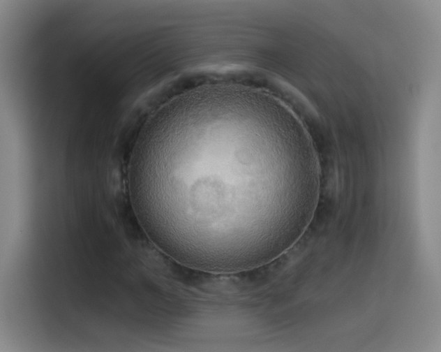 X0000114540966200910191338