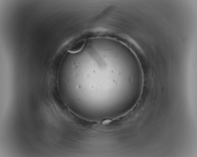 X0000114540967200910191338