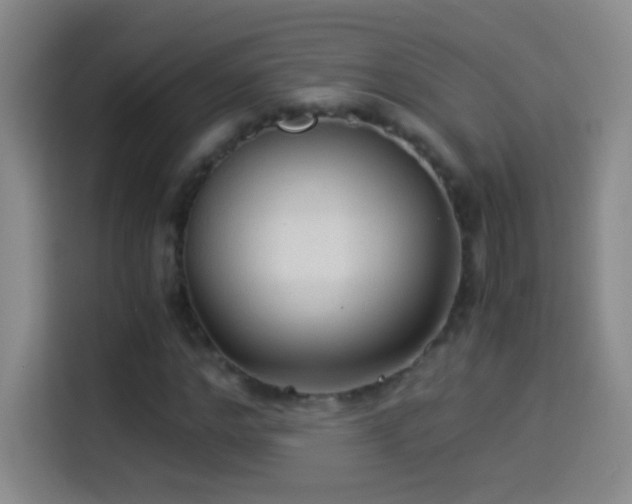 X0000114540968200910191338