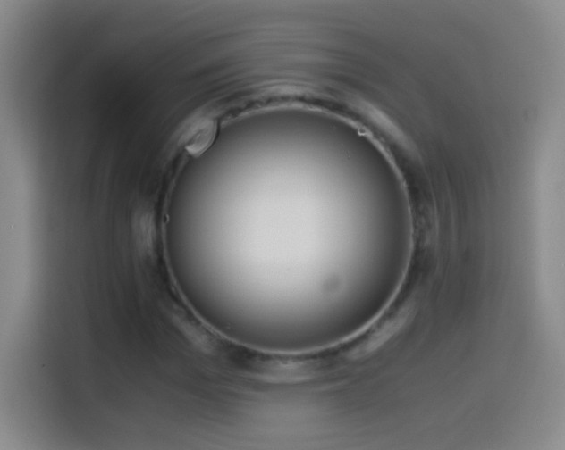 X0000114540969200910191338