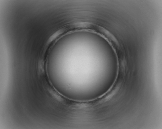 X0000114540970200910191338