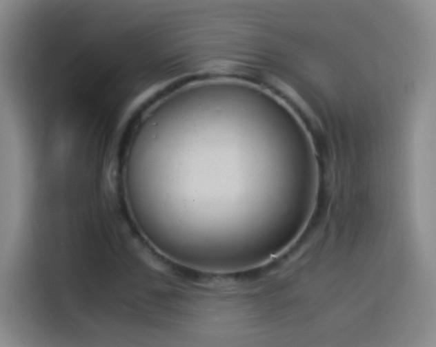 X0000114540971200910191338