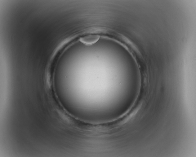 X0000114540973200910191338