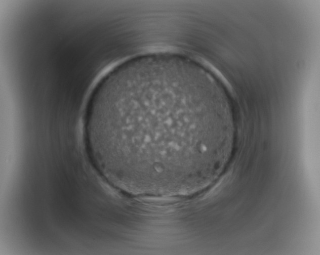 X0000114540975200910191338