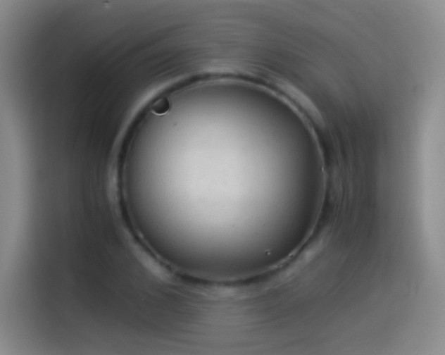 X0000114540976200910191338