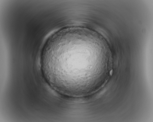 X0000114540979200910191338