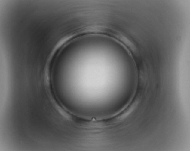 X0000114540981200910191338