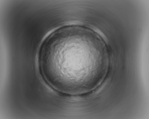 X0000114540983200910191338