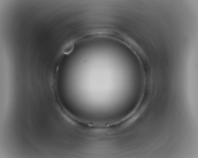 X0000114540985200910191338