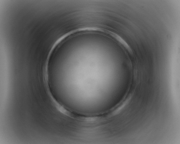 X0000114540988200910191338