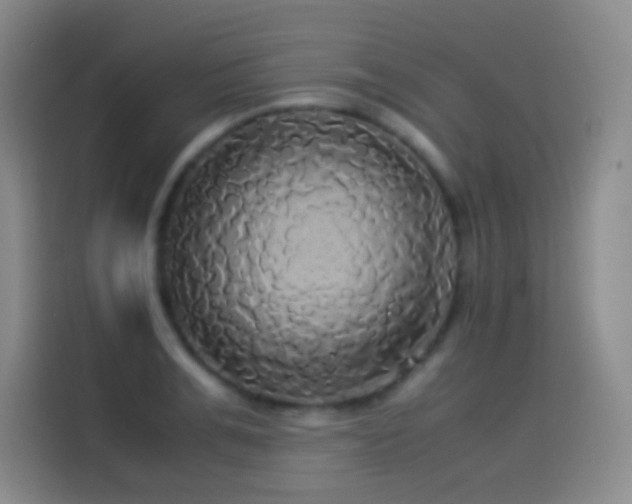 X0000114540991200910191338