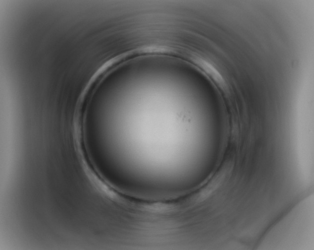 X0000114540992200910191338