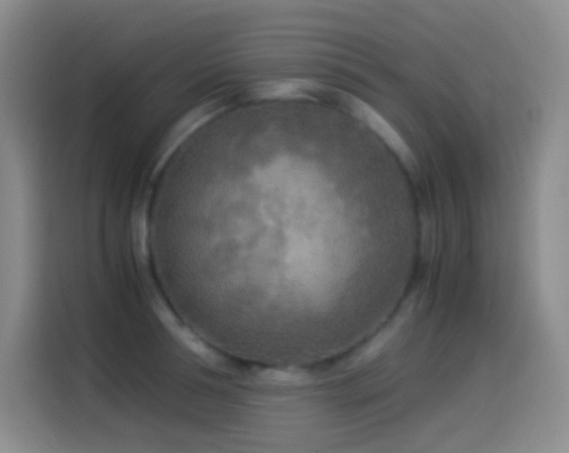 X0000114540994200910191338