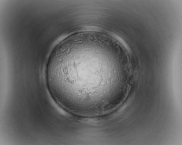 X0000114540995200910191338