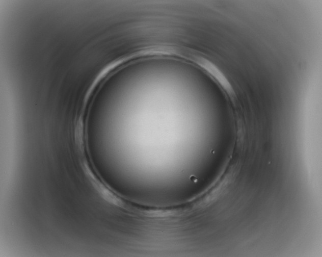 X0000114540996200910191338