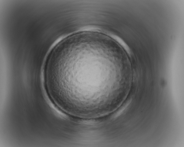 X0000114540999200910191338