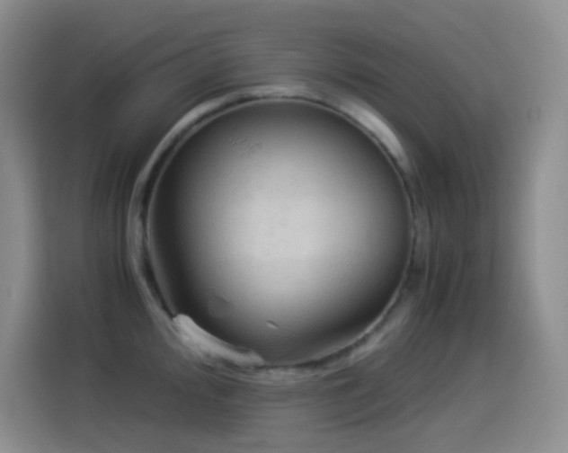 X0000114541000200910191338