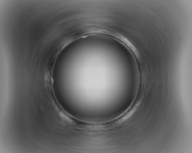 X0000114541001200910191338