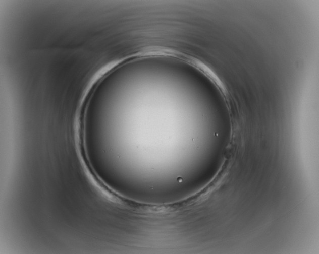 X0000114541003200910191338