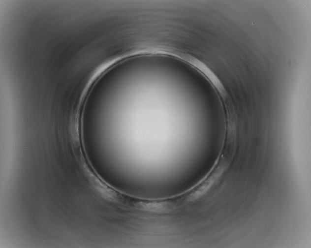 X0000114541004200910191338