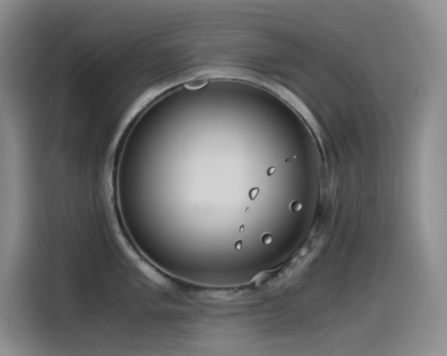 X0000114541005200910191338