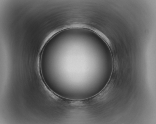 X0000114541006200910191338