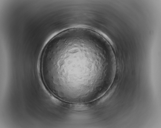 X0000114541007200910191338