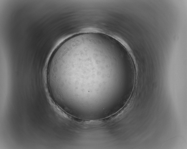 X0000114541008200910191338