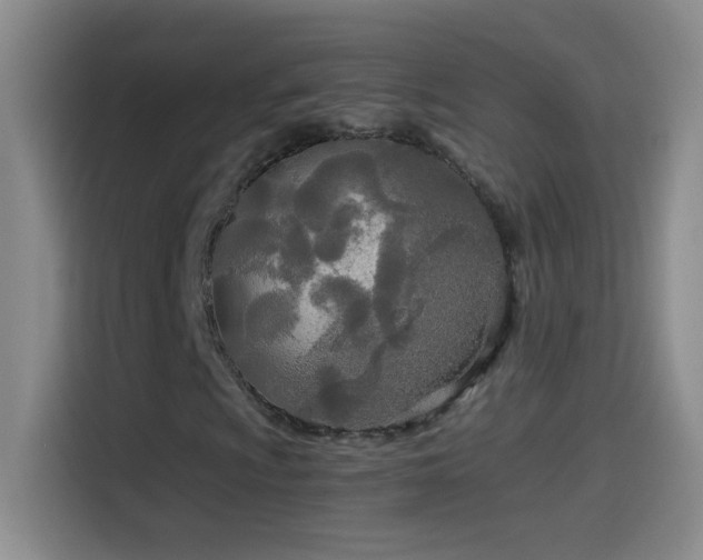 X0000114541009200910191337