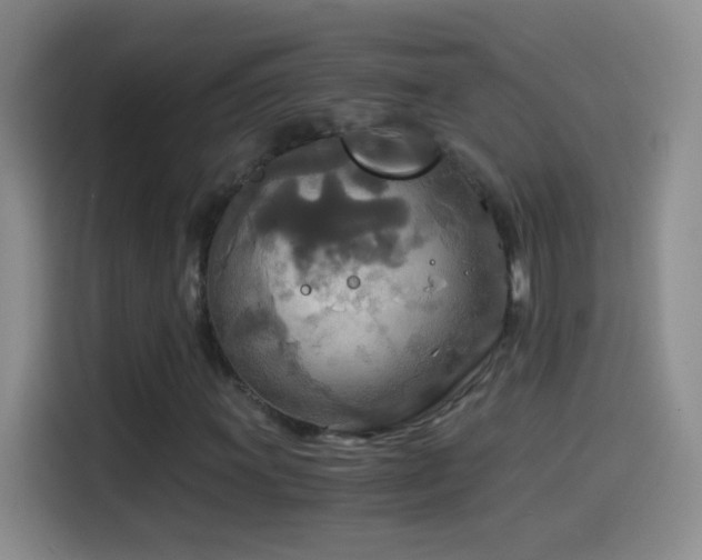 X0000114541011200910191337