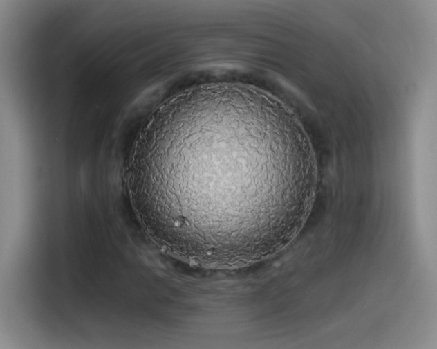 X0000114541014200910191337