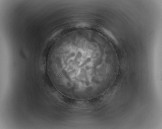 X0000114541015200910191337