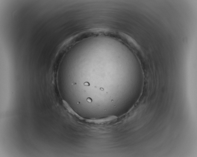 X0000114541016200910191337