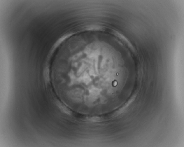 X0000114541019200910191337