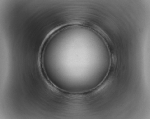 X0000114541020200910191337