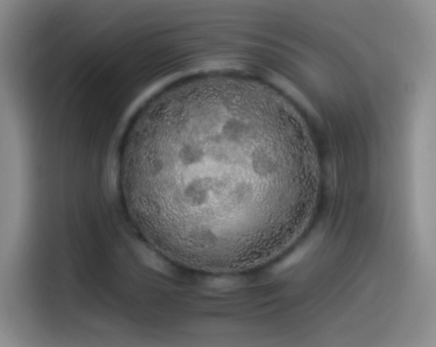 X0000114541021200910191337