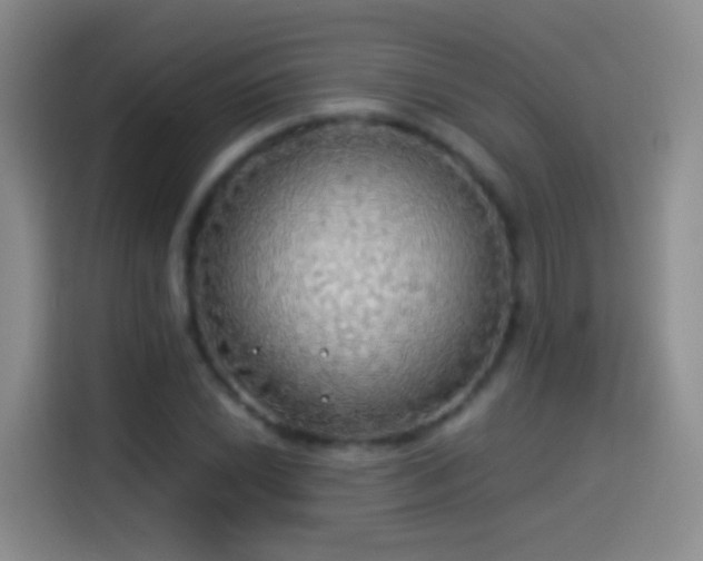 X0000114541022200910191337