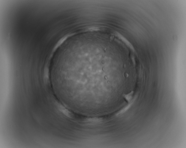 X0000114541023200910191337