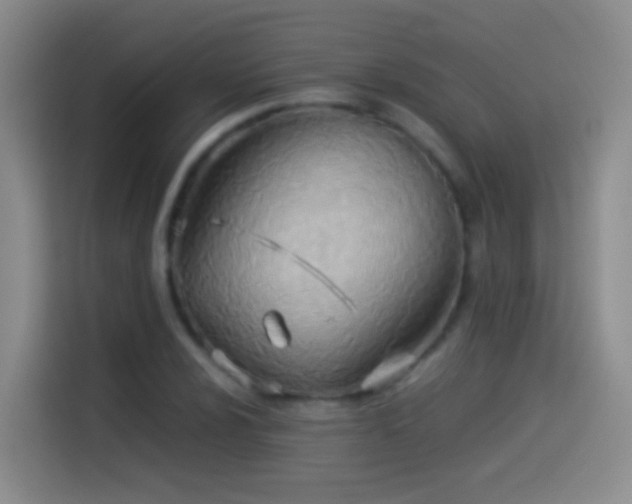 X0000114541024200910191337