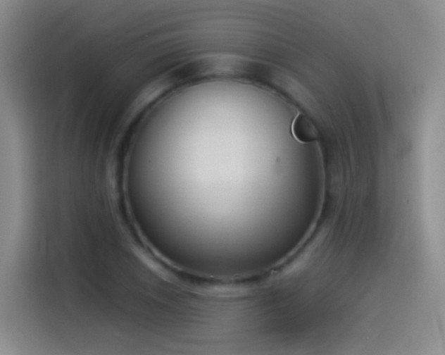 X0000114541026200910191337