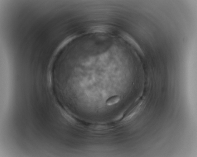 X0000114541027200910191337