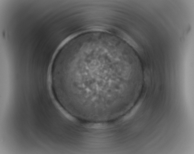 X0000114541028200910191338