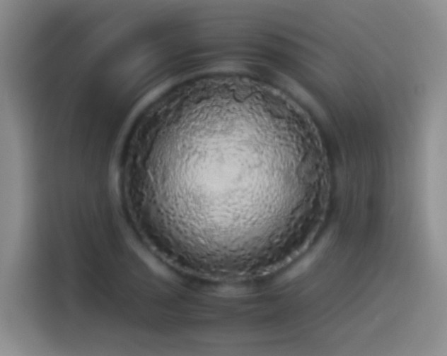 X0000114541029200910191338