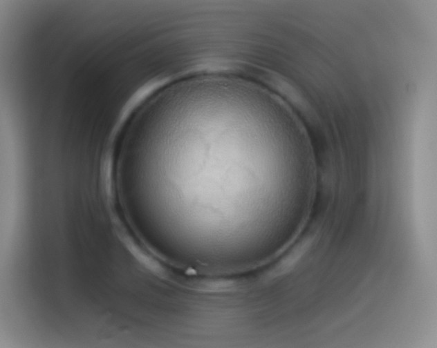 X0000114541030200910191338